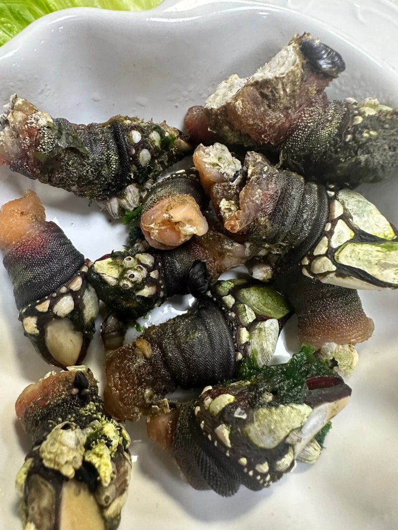 Marisqueria Arcade
