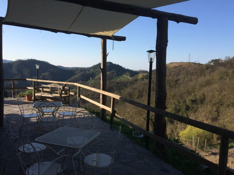 Agriturismo degli Olivi