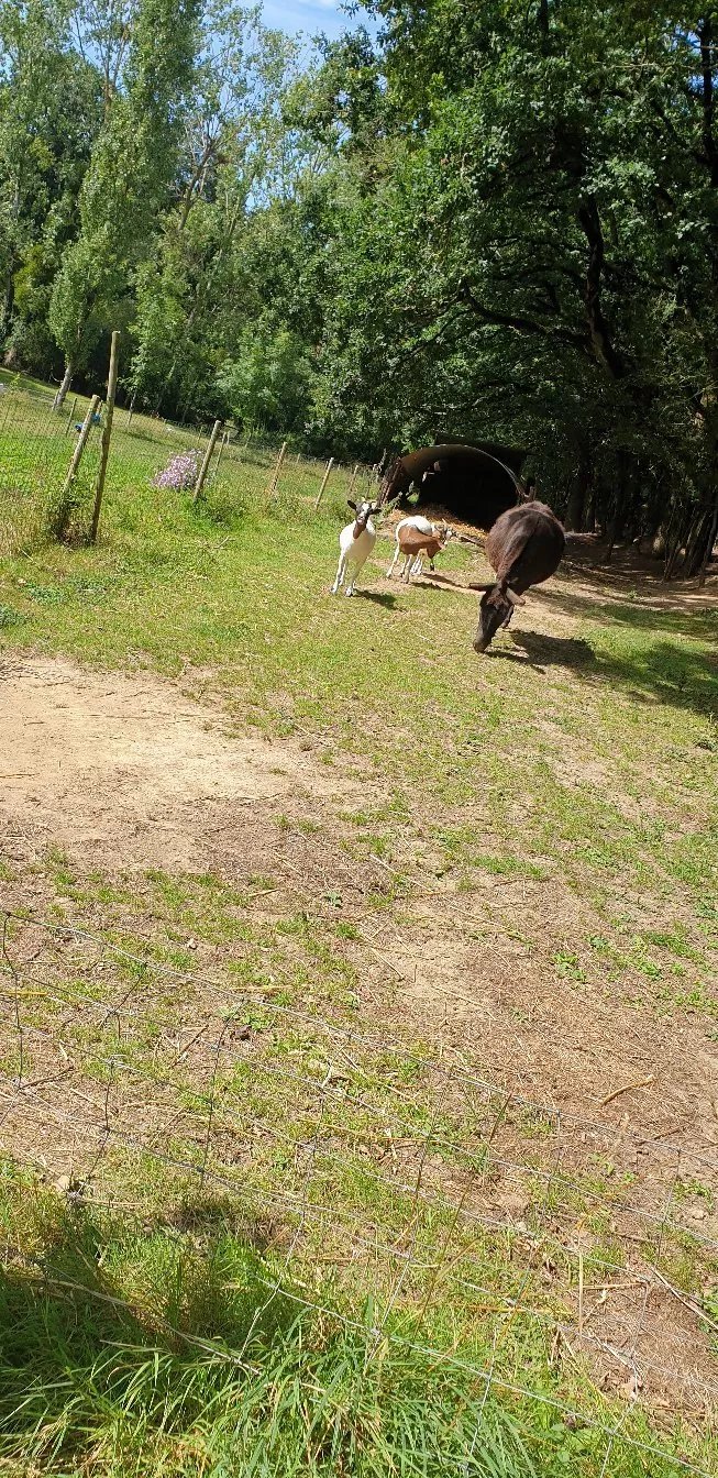 Le Puy Babin Chambres Familiales A La Ferme