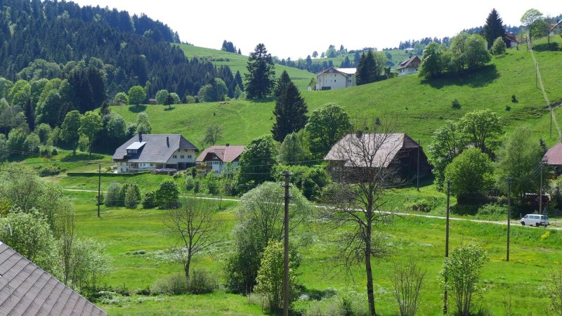 Hotel Restaurant Haus Tanne
