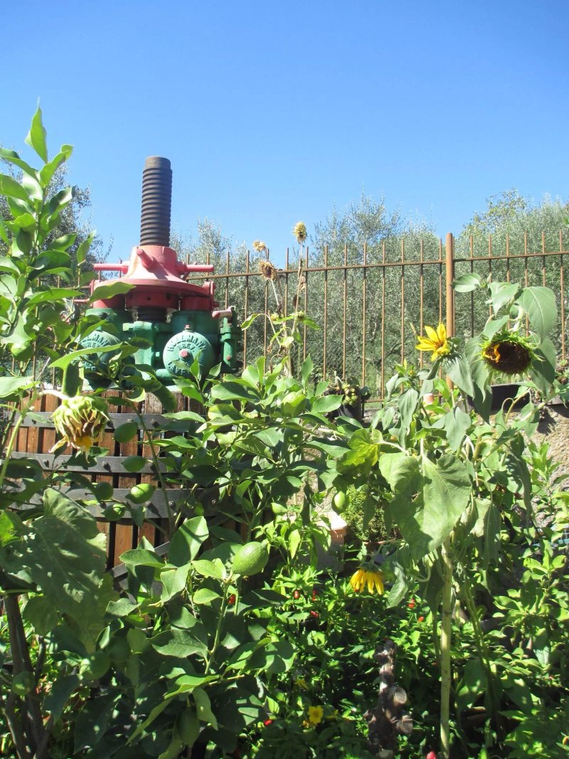 Azienda Agricola S. Pantaleone