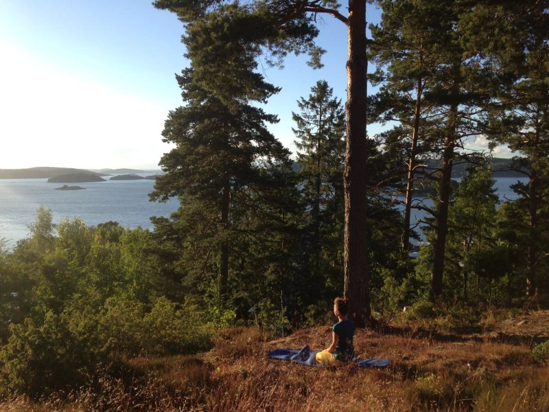 Anfasterod Gardsvik