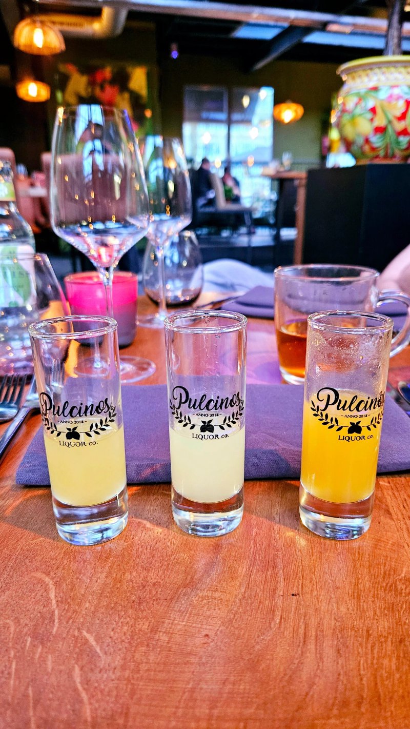 Pulcinos