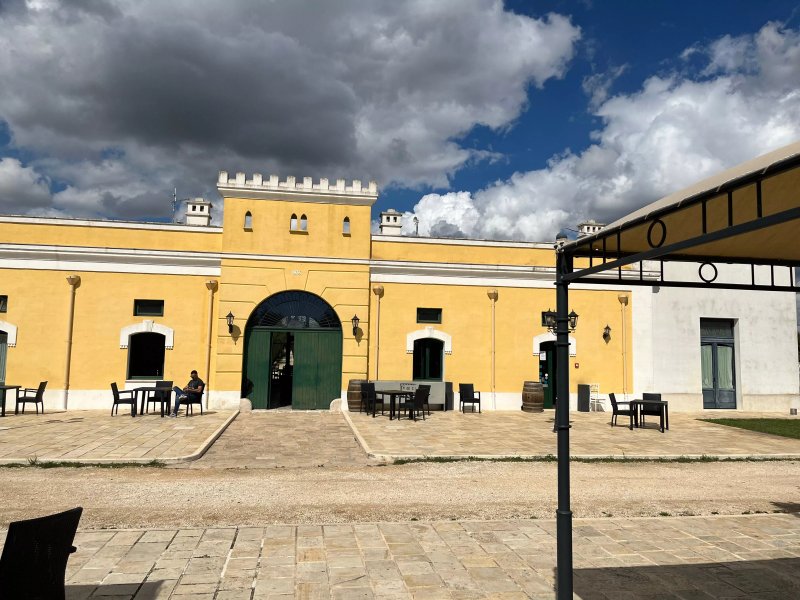 Tenuta Orsanese