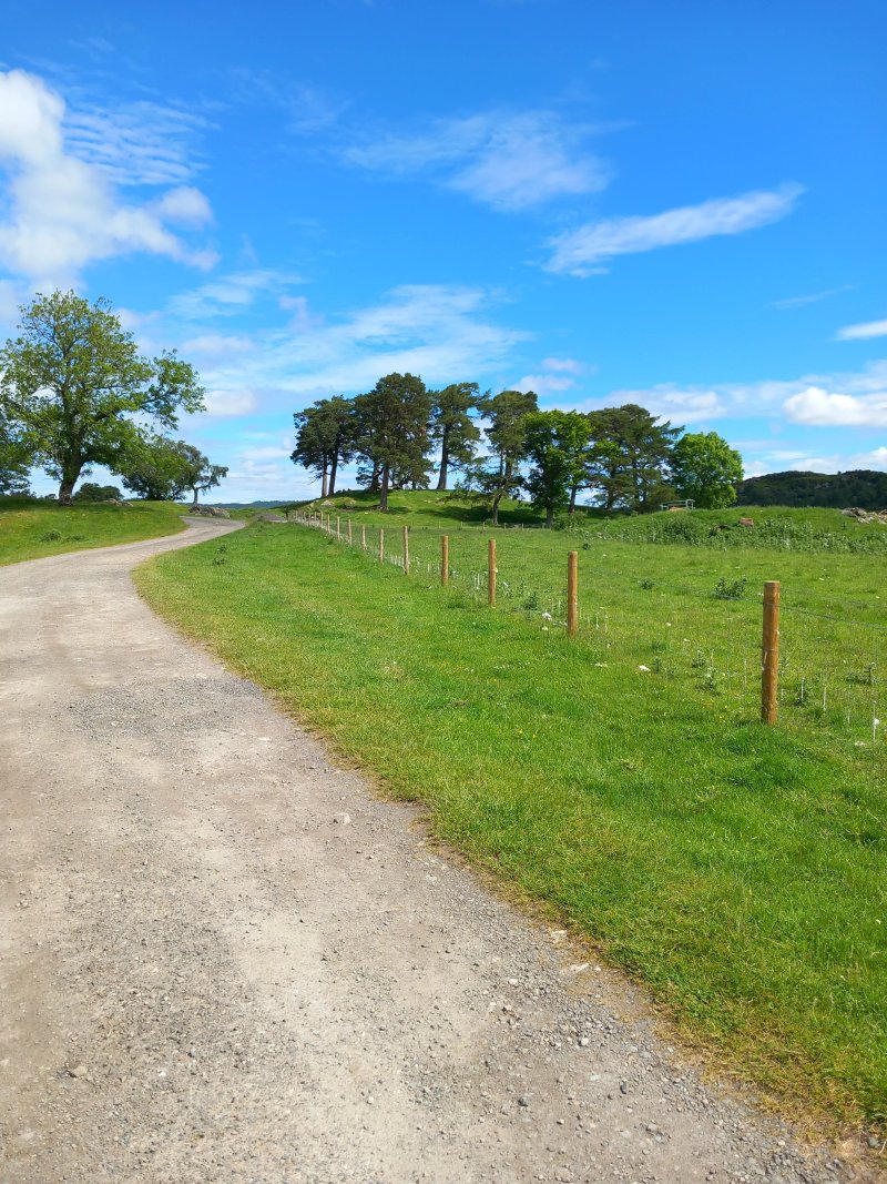 Tighnavon Glamping Pods
