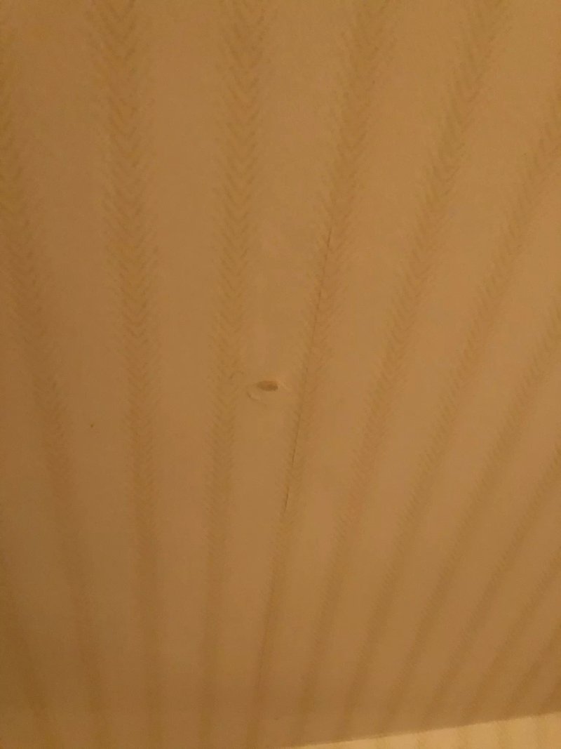 Oyo Best Western Station Hotel