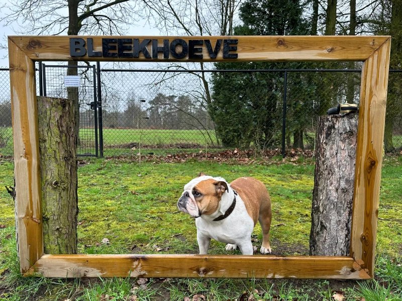Bleekhoeve