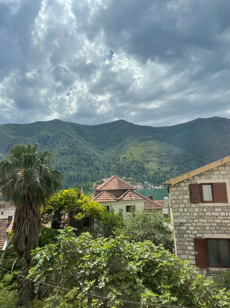 Hotel Alkima