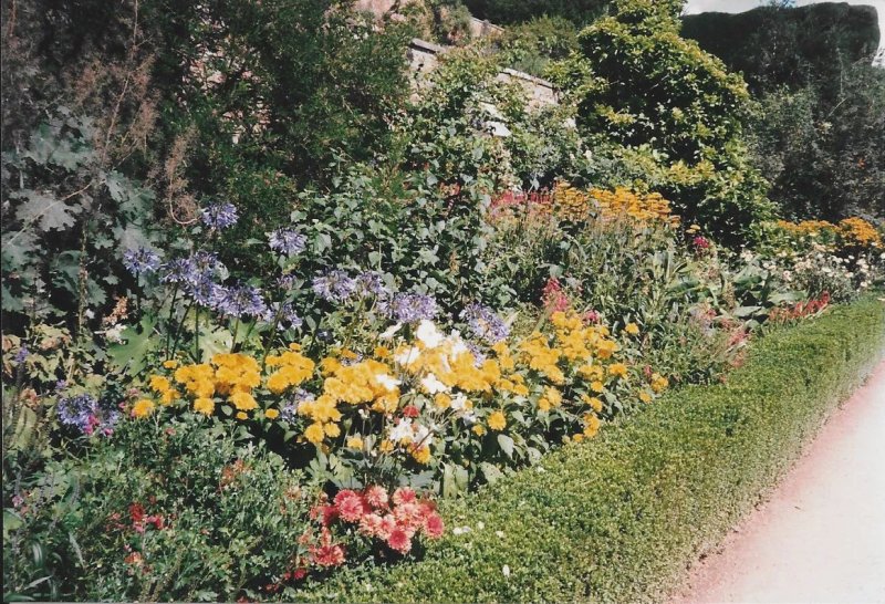 Maesmawr Farmhouse B&B
