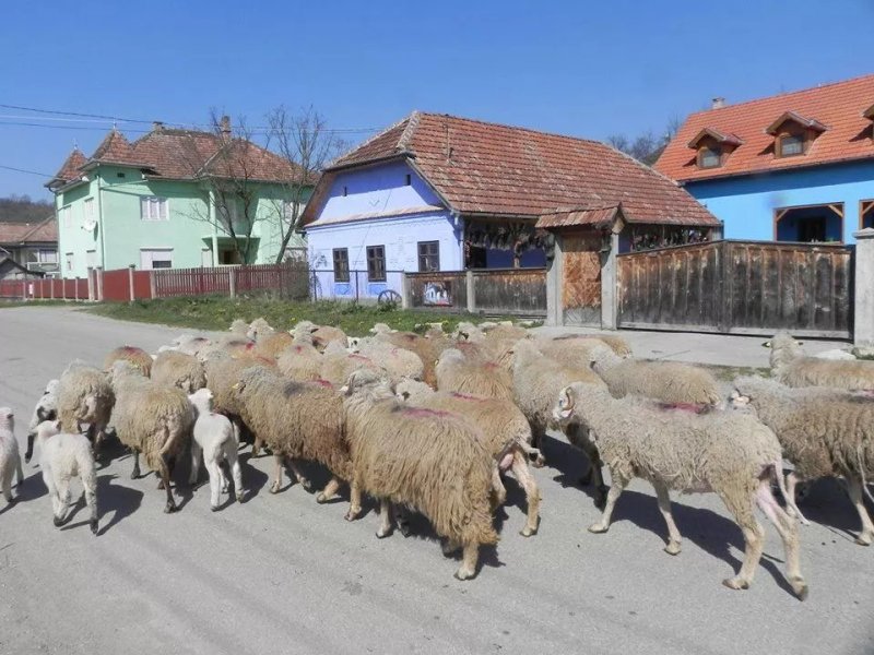 Csipkeszeg Bed & Breakfast