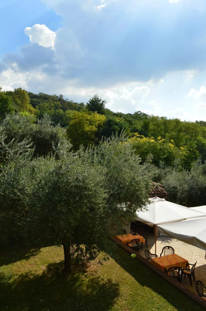 Agriturismo Colle Del Barbarossa