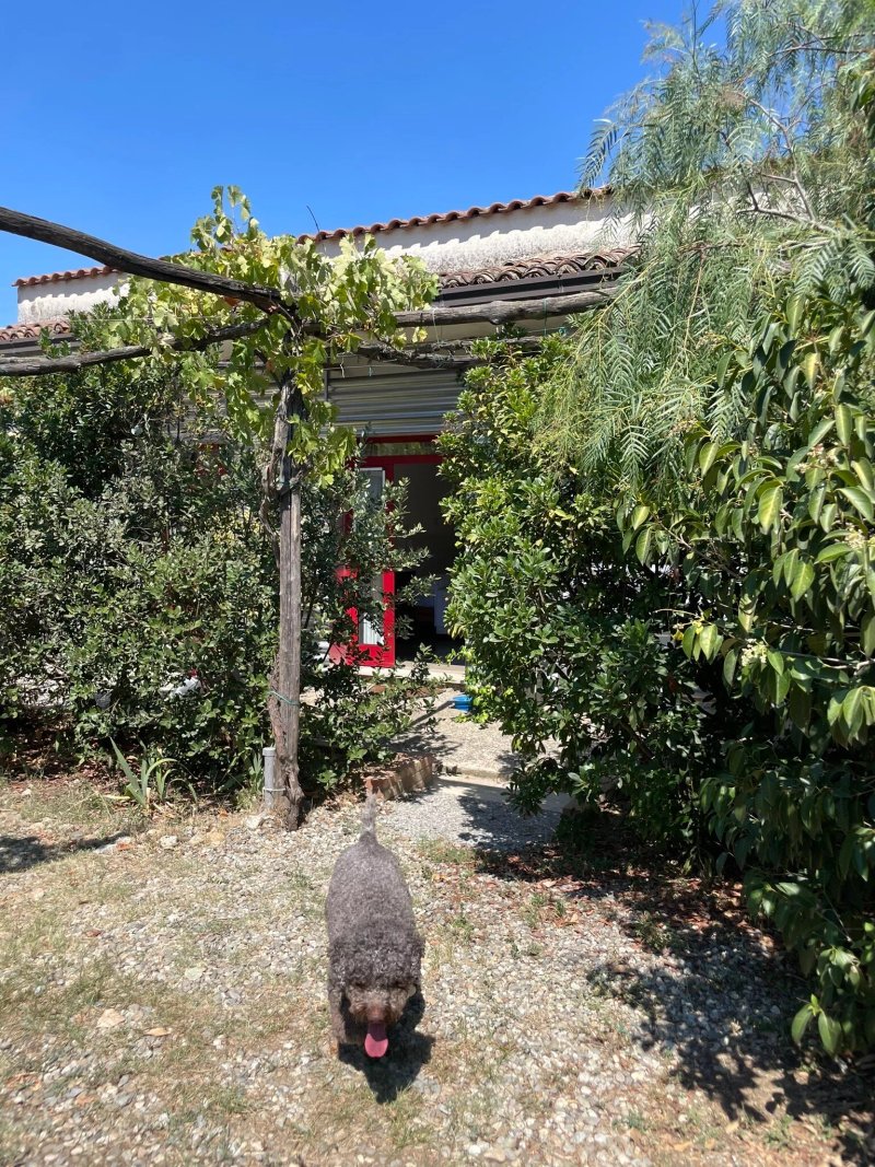 La locanda dei cocomeri