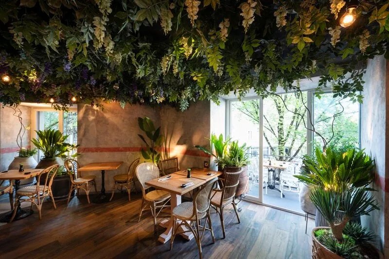 Negishi Sushi Bar Luzern Pilatusstrasse