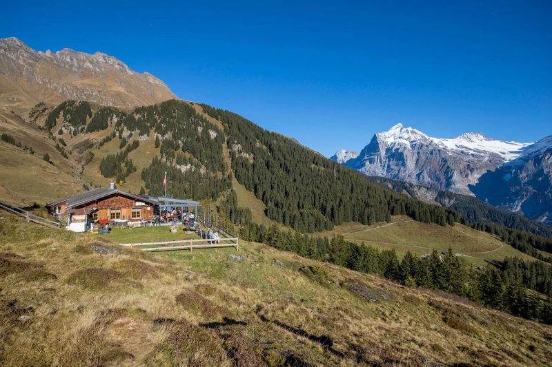 Bergrestaurant Bussalp
