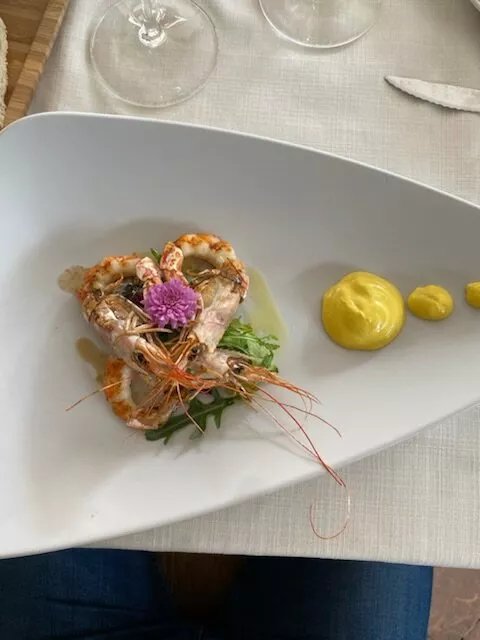 Corte Olivo