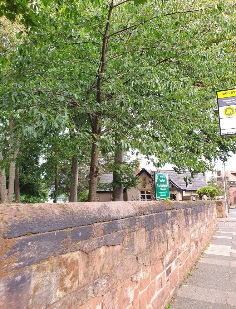 Vale House Cafe & Tea Room