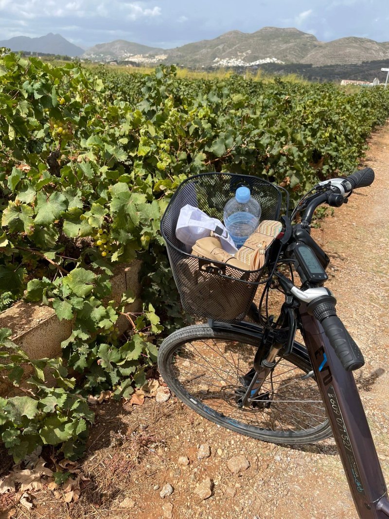 Moraira eBikes