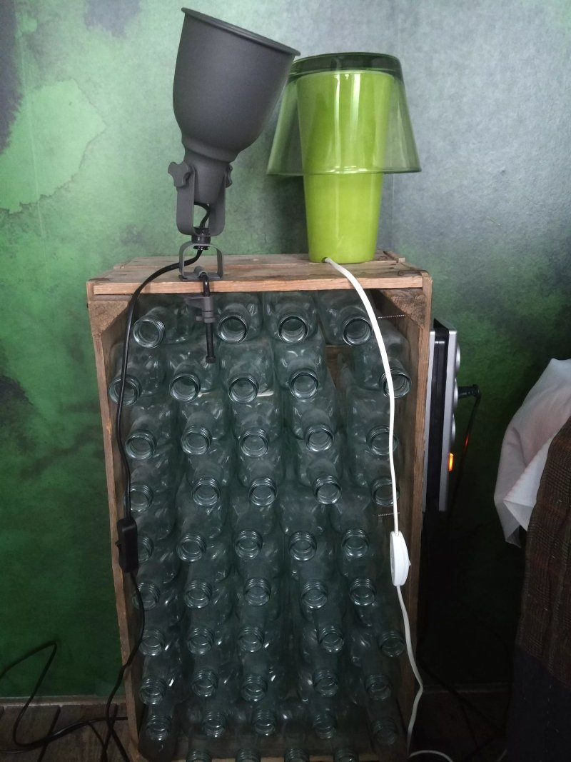 Hotel Trash Deluxe