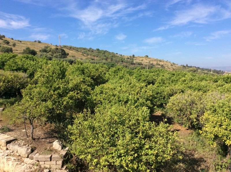 Agriturismo Pietre di Gelo