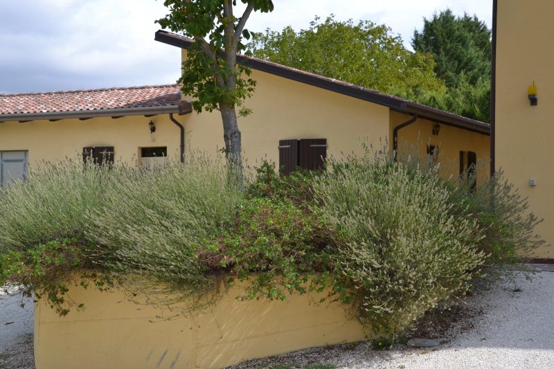 Agriturismo La Selva