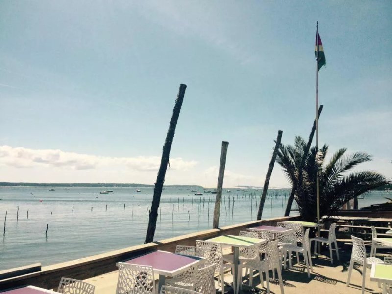 Huitres Fines Du Cap Ferret Serge Castaing