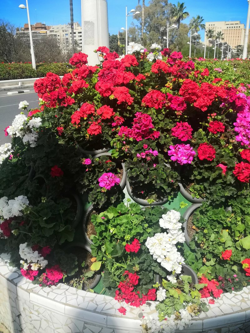 Turia Park