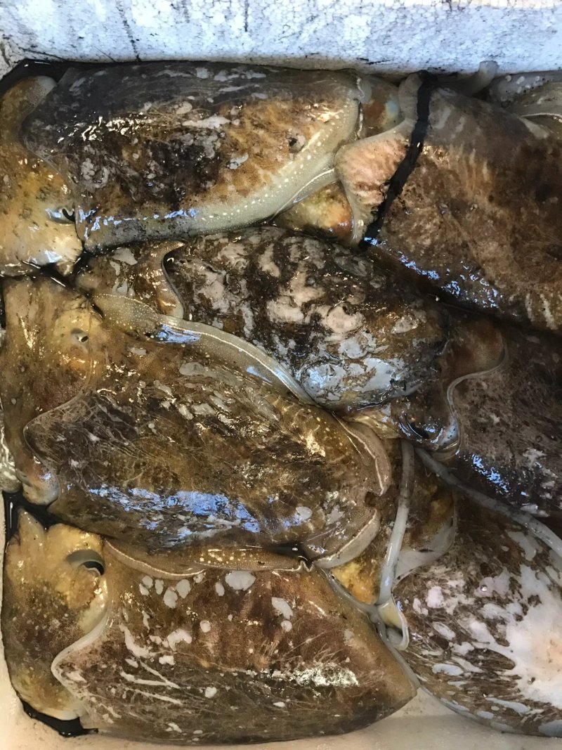 Pescheria Onda Di Pino Lembo
