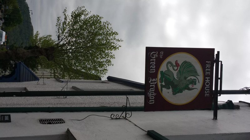 The green dragon