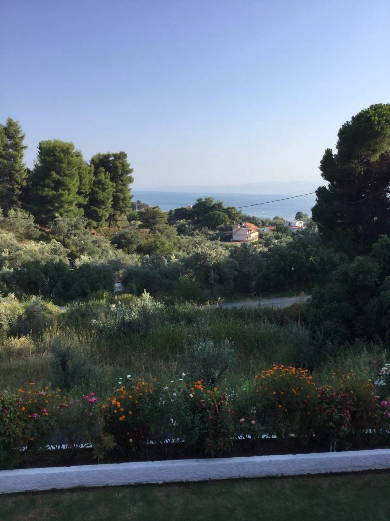 Demetris Hotels