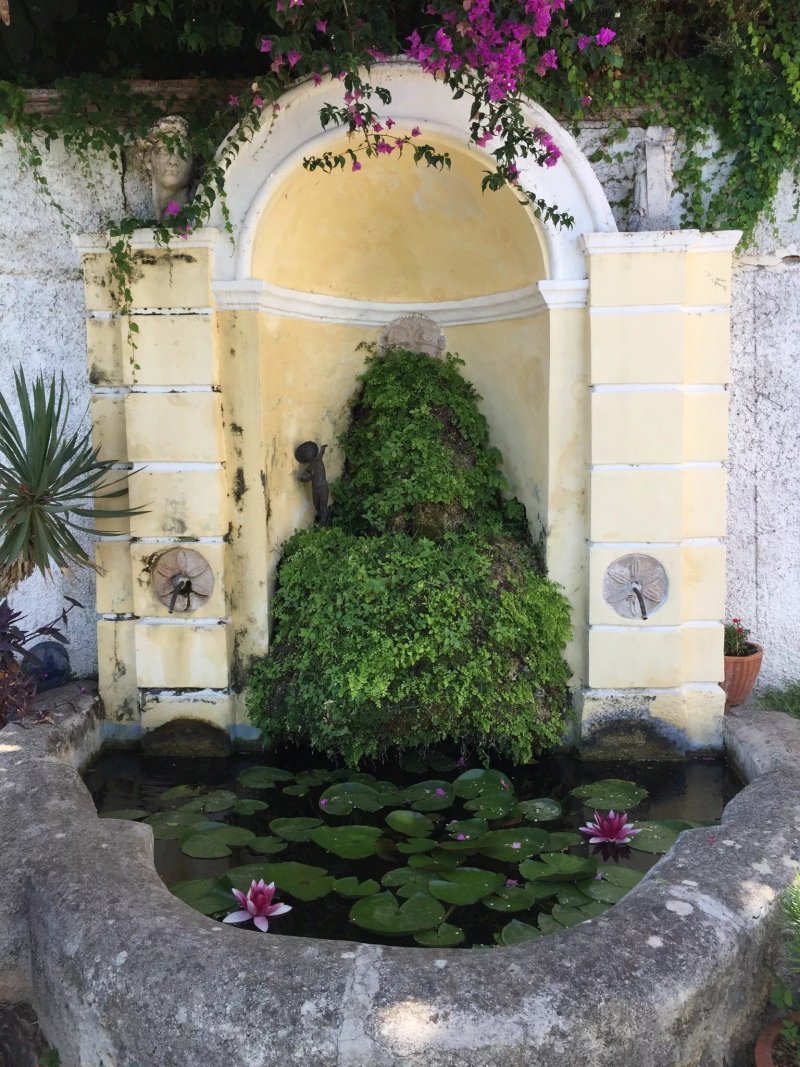 Il Nido del Gabbiano