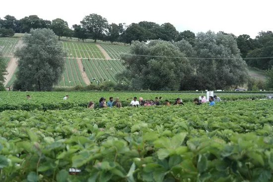 Parkside Farm