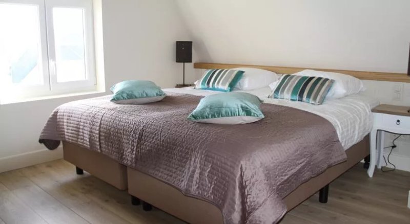 B&B Amylia