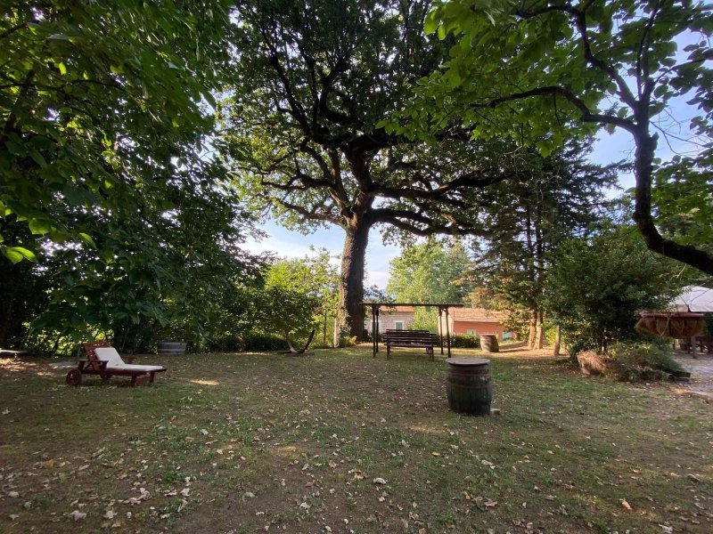La Quercia di Aorivola