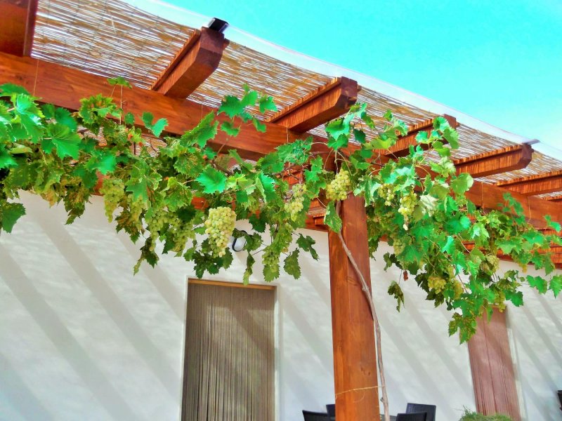 Red Rose B&B
