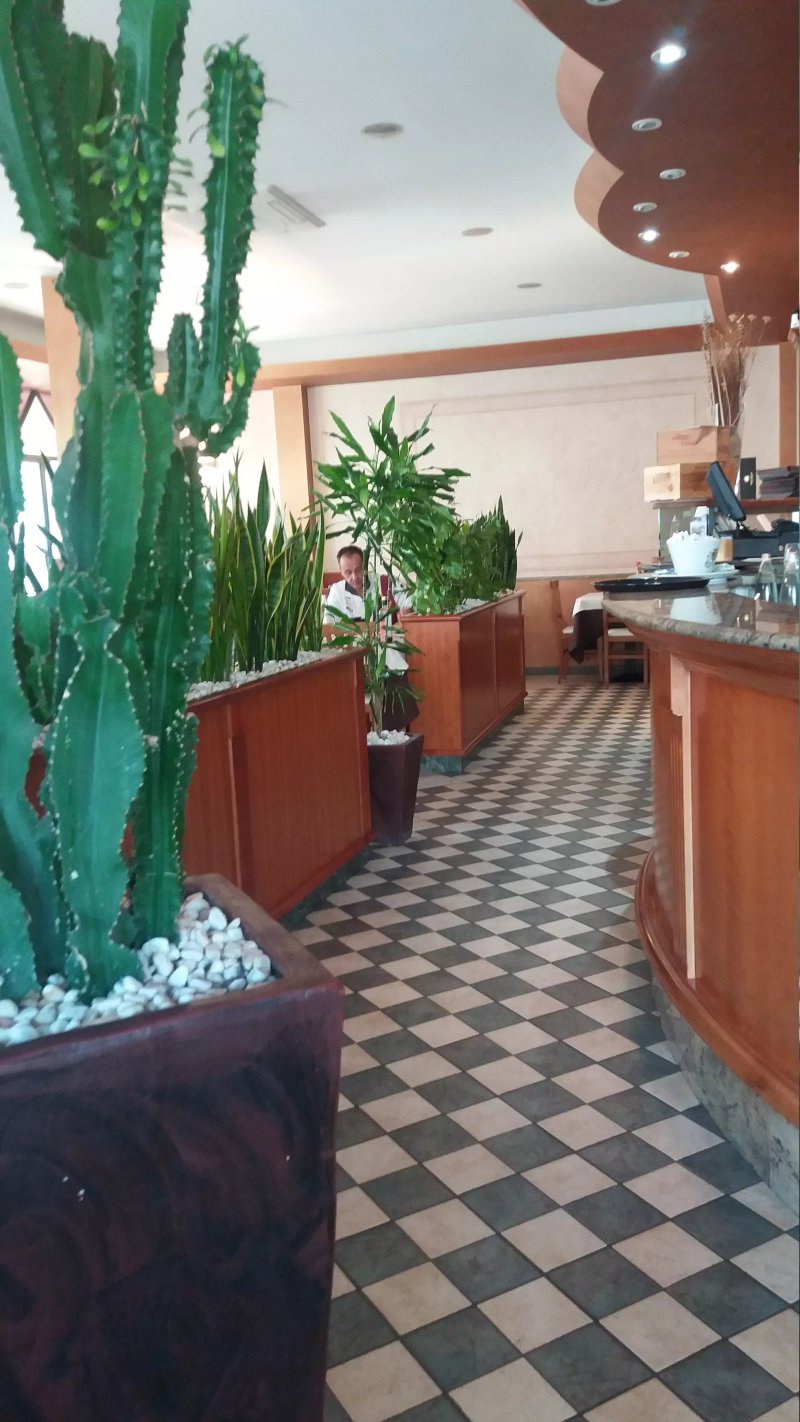 Restaurant Orchidea
