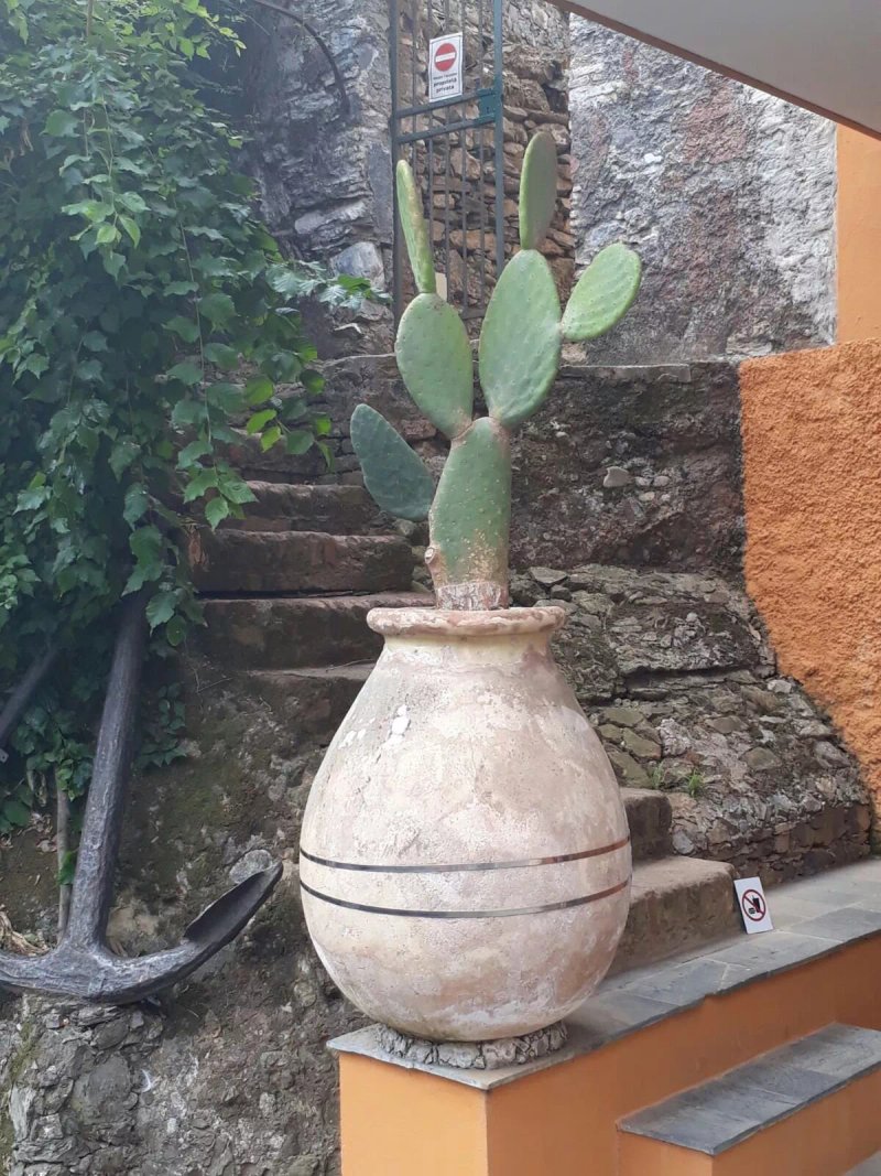 Bar Morena portofino