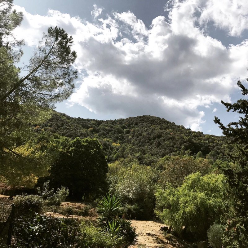 Complejo Rural Sant Bartomeu