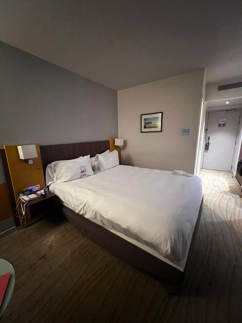 Holiday Inn Lyon - Vaise, an IHG hotel