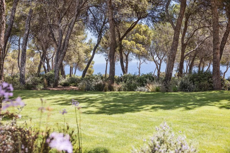 Villa Aurea