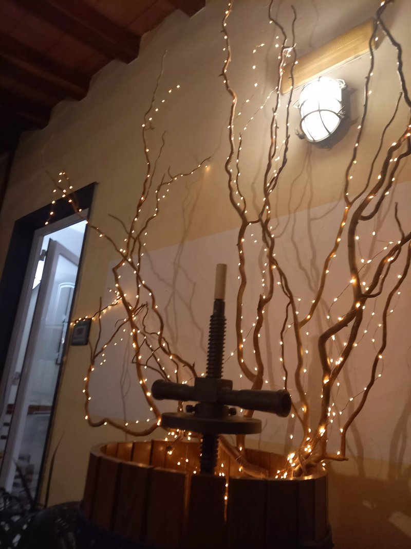 Il Tortello di Teresa