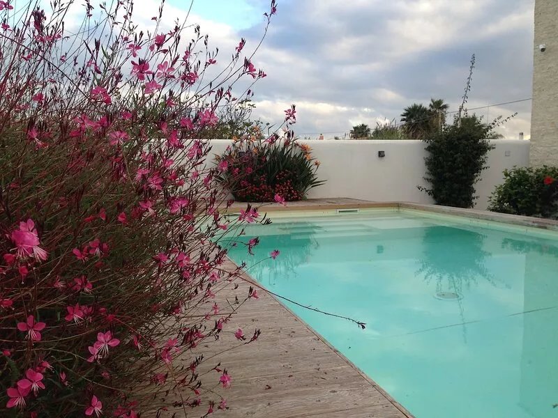 Modern Villa with pool, sea view and mediterranean garden