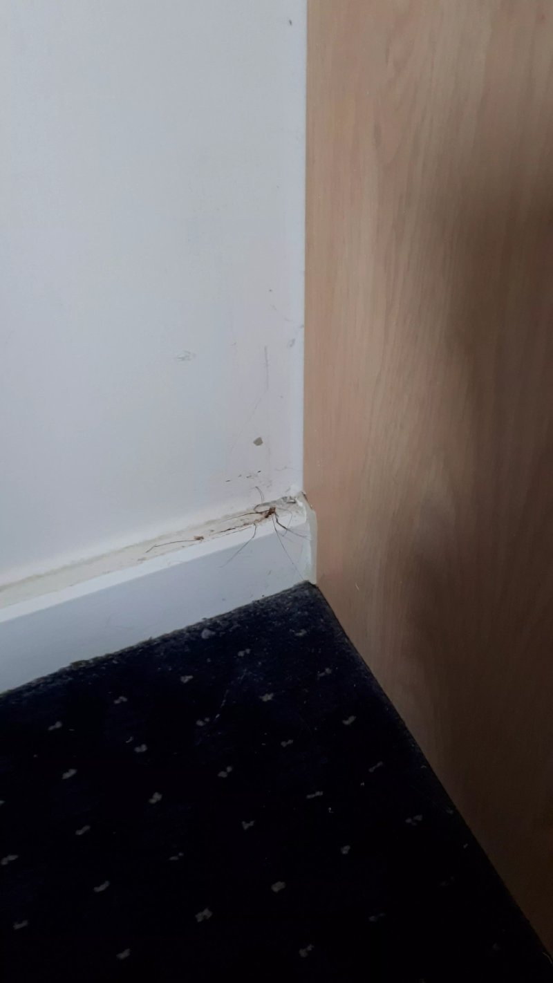 Travelodge Newbury Tot Hill