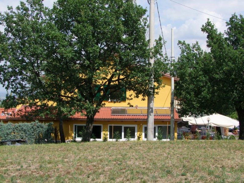 Osteria da Cesare