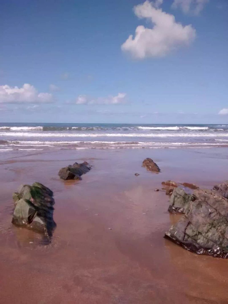 Tamar View Holiday Cottage
