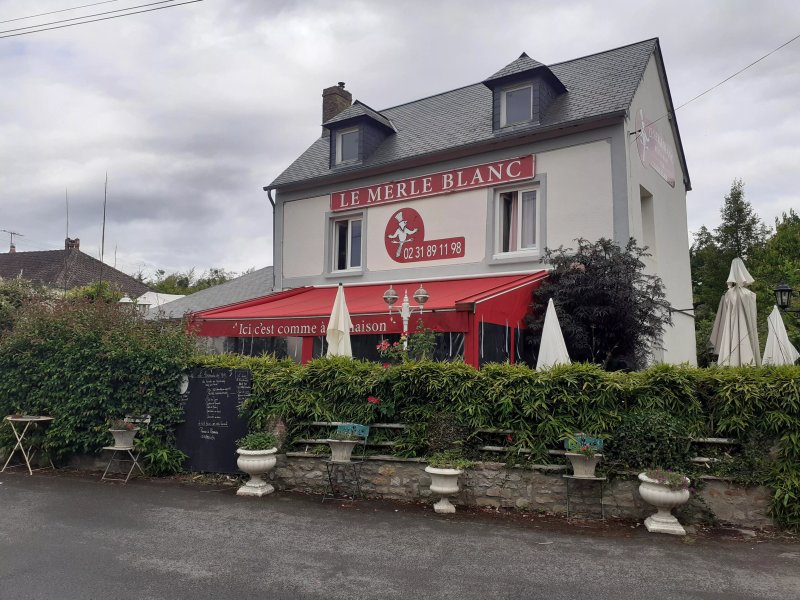 Le merle blanc