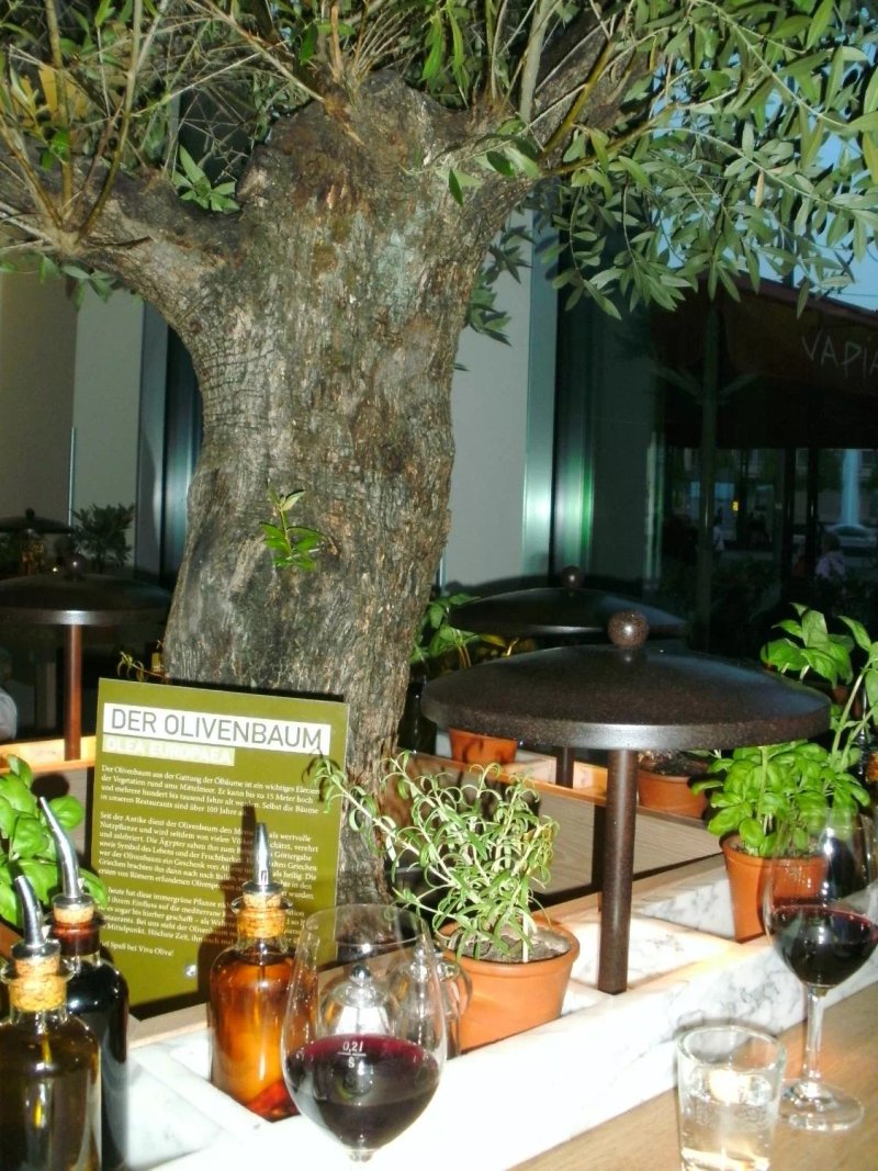 Vapiano Leipzig