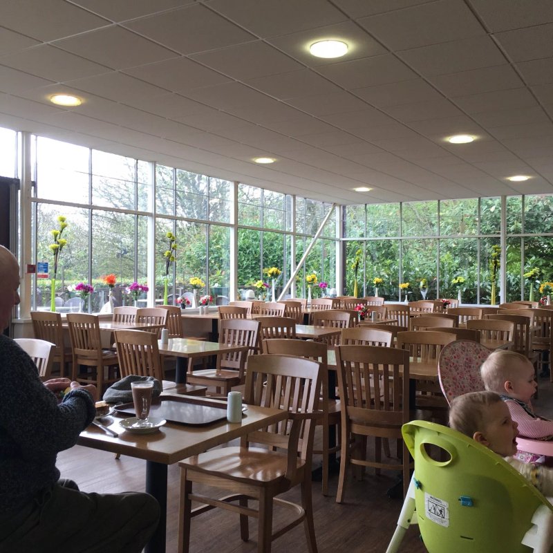 Northwood Garden Centre & Coffee Shop