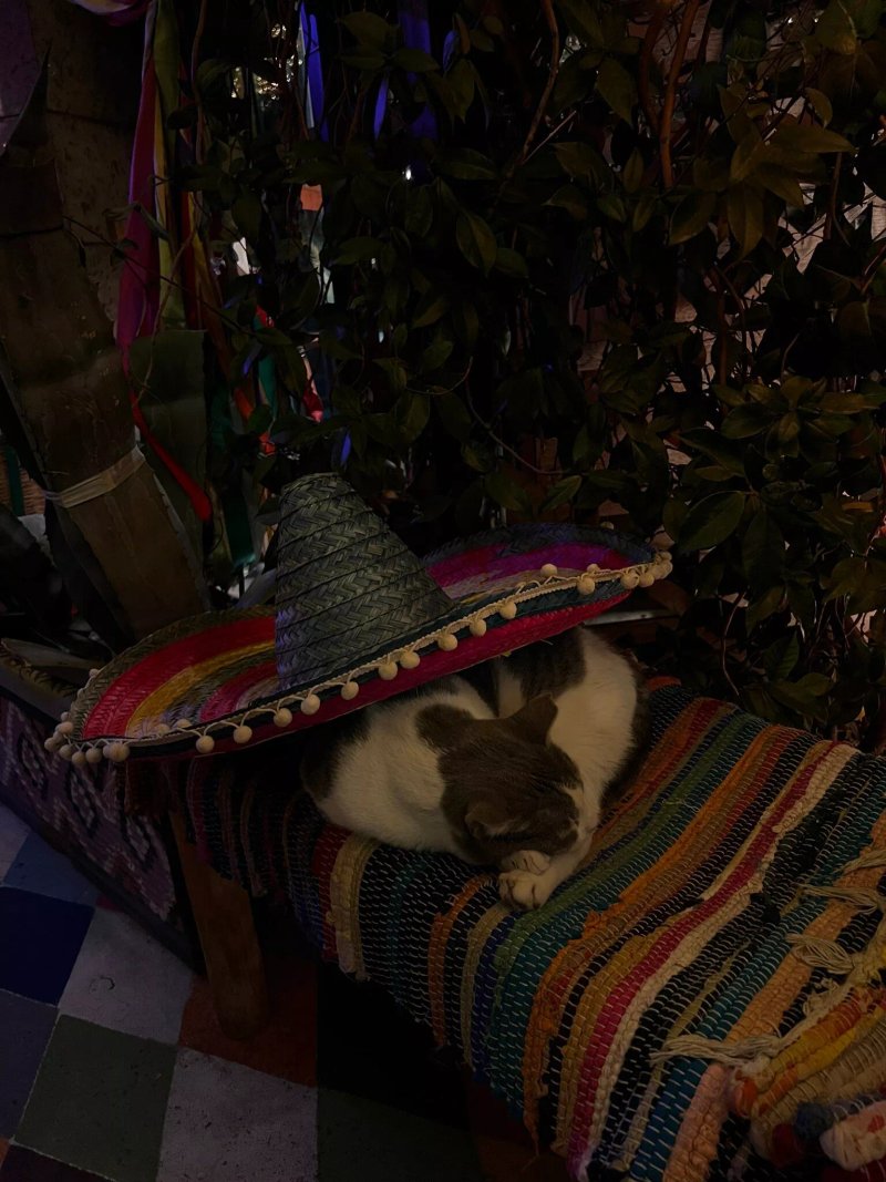 Dirty Sanchez Cantina Mexicana