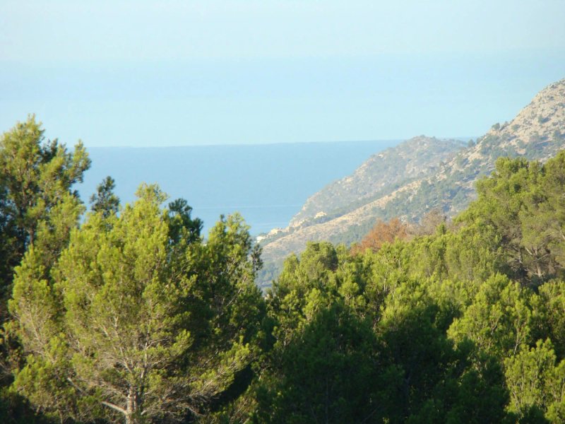 Sealand Villas