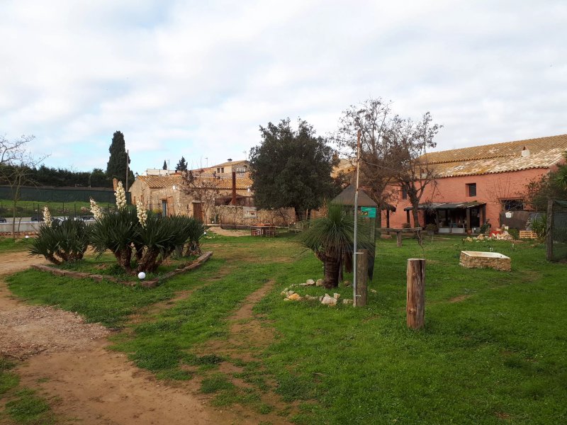 Dogfriendly hotel Rural Mas del Llop Blanc